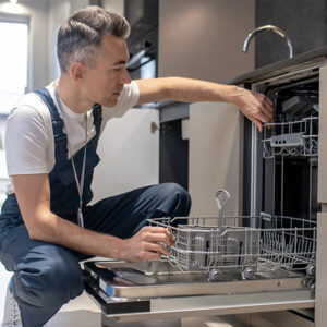 Dishwasher Repair